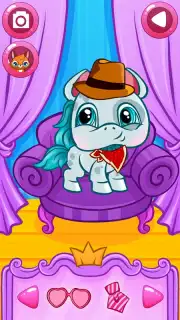 Pet Spa capture 2