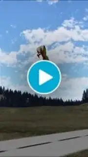 PicaSim Free capture 1