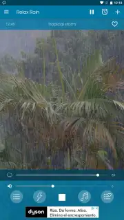 Relax Rain capture 5