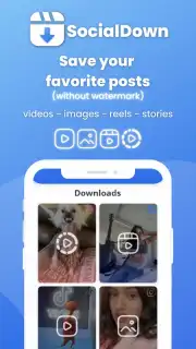 SocialDown: no watermark capture 3