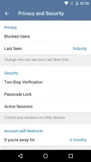 Telegram Talk capture 1