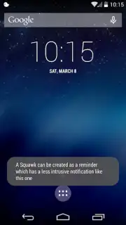 Squawk capture 2