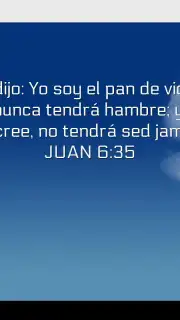Promesas capture 2
