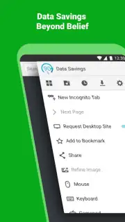 Puffin Browser Pro capture 3