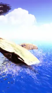 The Humpback Whales capture 12