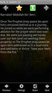 Sahih Al Bukhari capture 5