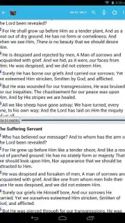Live Bible capture 3