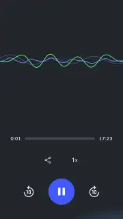 Google NotebookLM capture 2