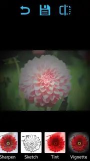 After Effect capture 7