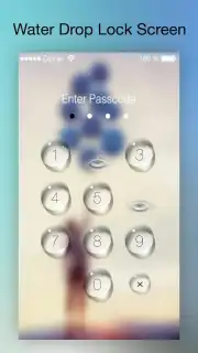 PIP Lock Screen capture 21