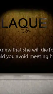 LAQUE capture 3