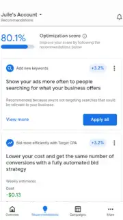 Google Ads capture 3