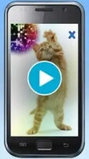 Talking, Dancing Cat. capture 1