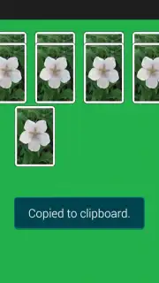 Spider Solitaire Game capture 5