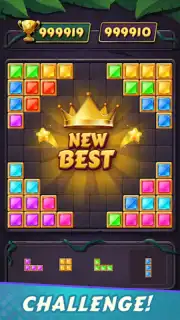 Block Puzzle capture 12