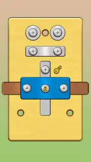 Screw Master: Pin Puzzle capture 4