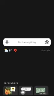 Yandex capture 3