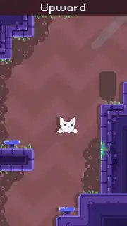Cat Bird capture 7