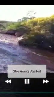 Appbloo FB Video Downloader capture 4