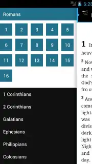 NWT Bible - Lite capture 3