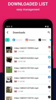 Video Downloader capture 2