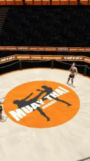 Muay Thai - Fighting Origins capture 6