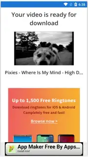 Pick Video downloader capture 9