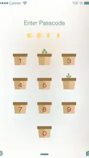 PIP Lock Screen capture 4
