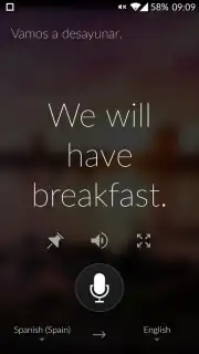 Microsoft Translator capture 3