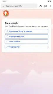 DuckDuckGo Private Browser capture 15