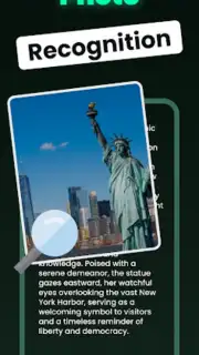 Chatbot capture 3