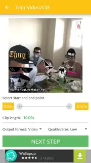 Video and GIF Memes capture 6