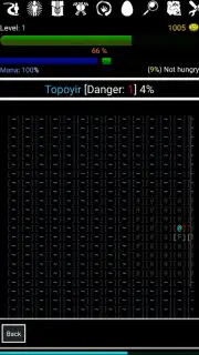 Random Adventure Roguelike capture 3