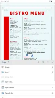 Microsoft Word capture 4