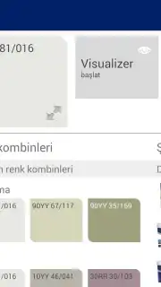 Visualizer capture 8