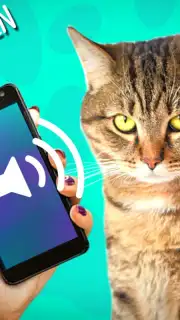 Кошачий Переводчик capture 1