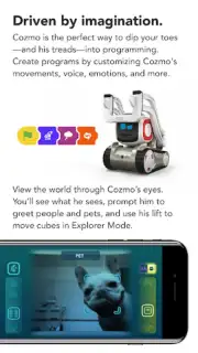 Cozmo capture 8