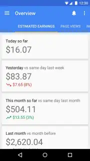Google AdSense capture 4