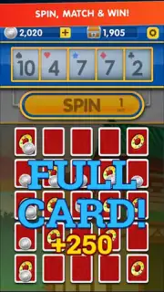 Slingo Shuffle capture 3