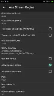 Ace Stream Media capture 4