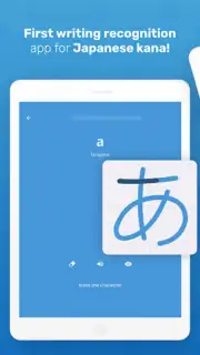 Write Japanese capture 14