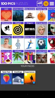 100 PICS Puzzles capture 6