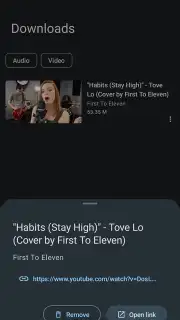 Seal capture 3