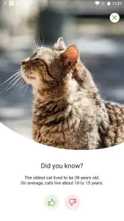 Zooplus: Online pet shop capture 2