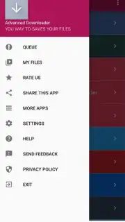 Advanced Downloader capture 3