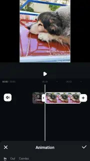Filmora capture 20
