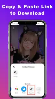 Downloader for Pinterest capture 4