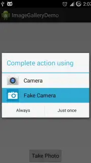 Fake Camera capture 8