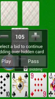 Collection of card games capture 5