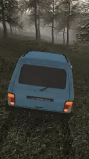 Forest Roads. Niva capture 3